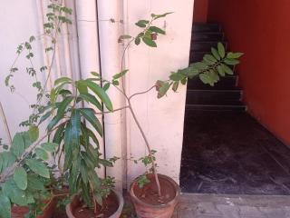 Bhairava Residency Tiruvannamalai - 3