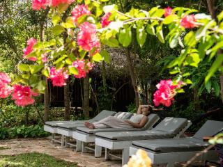 Sundaras Infinity Jungle Resort & Spa - 6