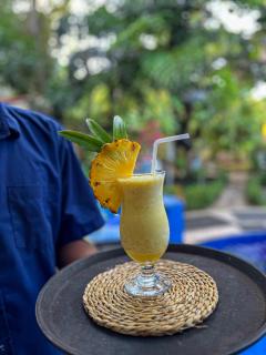 Sundaras Infinity Jungle Resort & Spa - 4