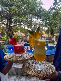 Sundaras Infinity Jungle Resort & Spa - 3