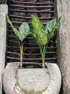 leemaz home stay - 2