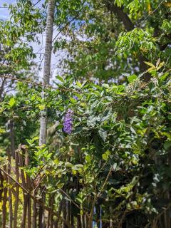 leemaz home stay - 1