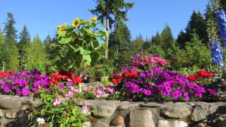A Hidden Haven Cottages - Port Angeles - 3