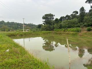 Kadugadde Homestay - 3