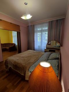 Spacious apartment at 18 Grigory Skovoroda Street - 9