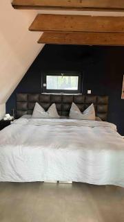 Roof-only house & shipping container - 1