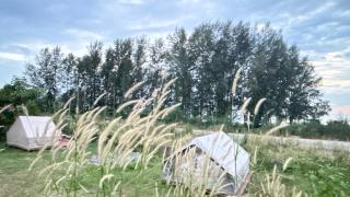 Blue & Chill Resort - 4