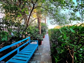 The White Lions Villa - 6