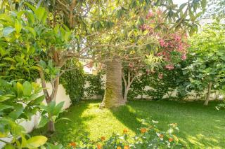 Villa Jardín botánico - 4