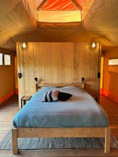 Safari Lodge at Back to Basic - 8