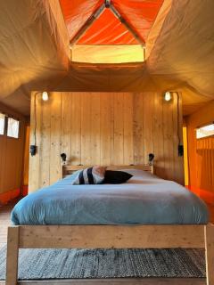 Safari Lodge at Back to Basic - 7