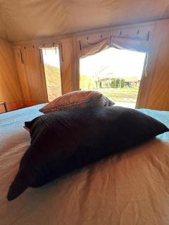 Safari Lodge at Back to Basic - 4