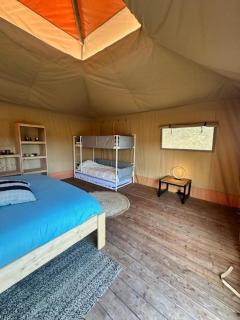 Safari Lodge at Back to Basic - 3