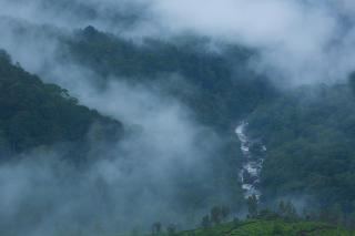 Fragrant Nature Munnar - A Five Star Classified Hotel - Munnar - 4