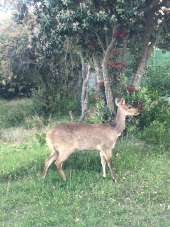 DeRust Danabay Accomodation - 8