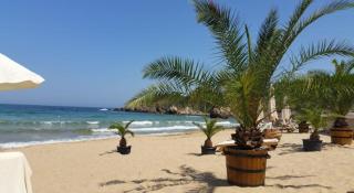 Apartment Sand Lilies - 9