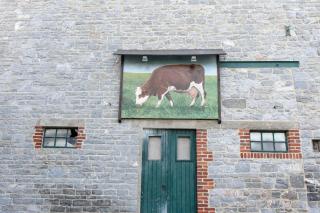 B&B La Place Verte - 7