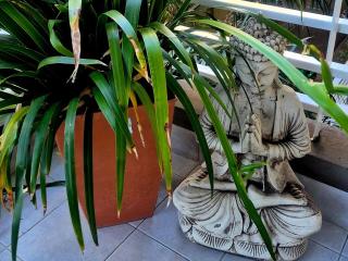 Miller y Olazábal - 6