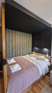 Central Park Studio - 1