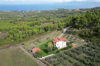 Κτήμα Verde - 9