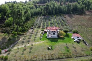 Κτήμα Verde - 8