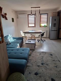 Apartament Parc Romanescu 4 locuri-2 familii - 2