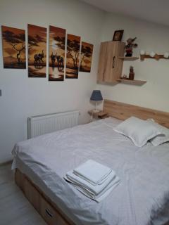 Apartament Parc Romanescu 4 locuri-2 familii - 4