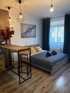 Apartament Kozigród - 9