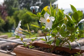 Agriturismo La Palazzetta di Assisi - 3
