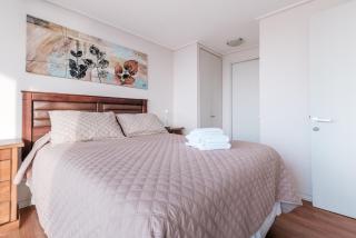 Magnificent ocean view from downtown Viña - 4