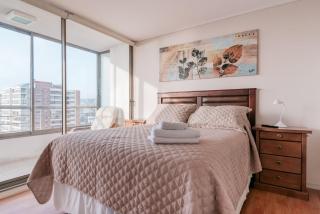 Magnificent ocean view from downtown Viña - 1