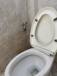 Lilly travel on budget- Bassac land - 3