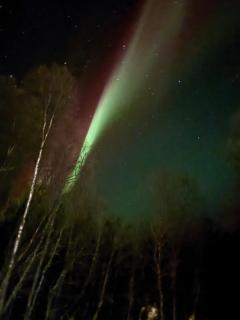 beautiful apartment in nature - 9