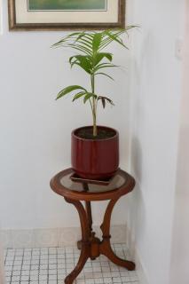 Anam by the sea - Bundeena - 5