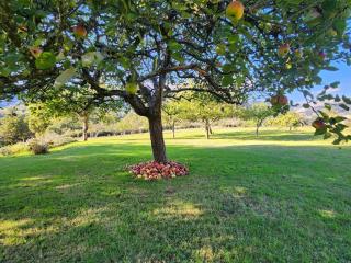 Rincón de Madagascar VV-2192-AS - 8