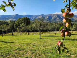 Rincón de Madagascar VV-2192-AS - 7