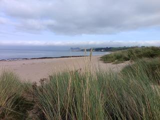 Rowan Tree Cottage, Ballycastle - 9