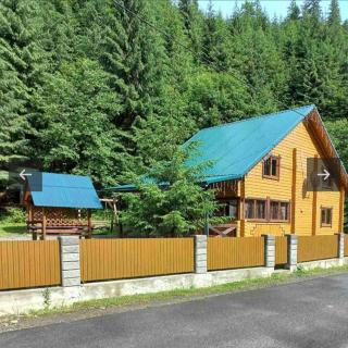 Лісова тиша Сімейні номера - 1