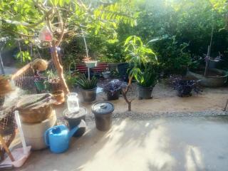 คอปเตอร์ Resort - 2