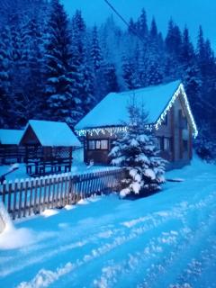 Лісова тиша Сімейні номера - Synevyrsʼka Polyana - 3