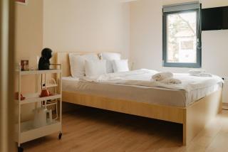 New Studio Apartments in Central Skopje Debar Maalo - 7