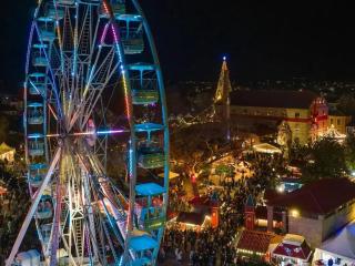 Andromache's Cozy Villa close to Meteora-Trikala - 3