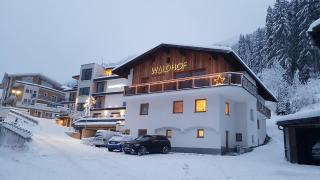 Haus Waldhof - 7