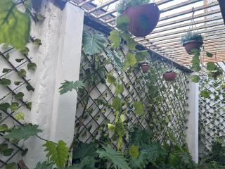 Home Love and Laughter - 3