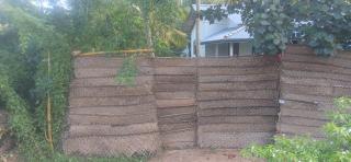 Jungle bird cage - 4