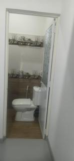 Jungle bird cage - 3