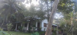 Jungle bird cage - 1