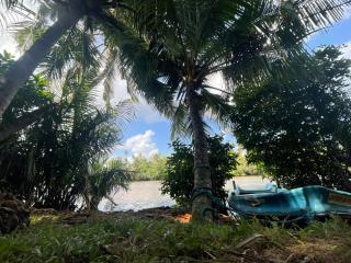 Kuma Surf Camp Hostel - 8