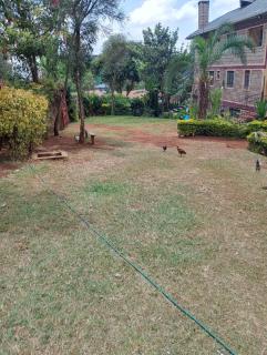 Sacred Heart Apartments BNB & Hostels Meru Town - 6