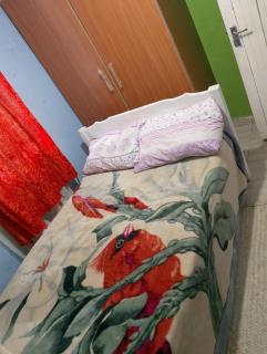 Sacred Heart Apartments BNB & Hostels Meru Town - 7